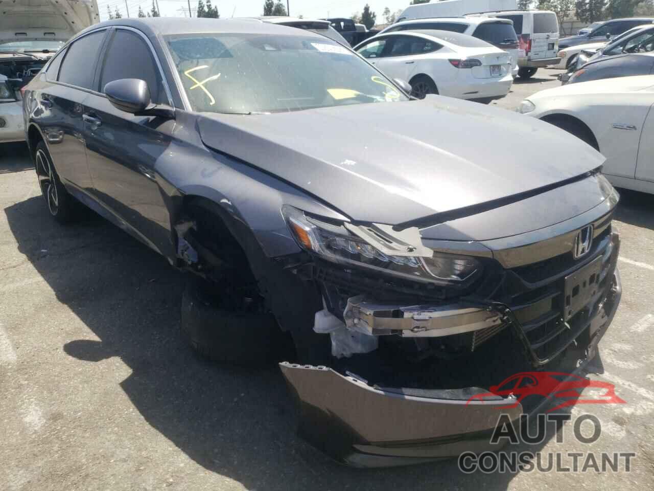 HONDA ACCORD 2019 - 1HGCV1F3XKA164117