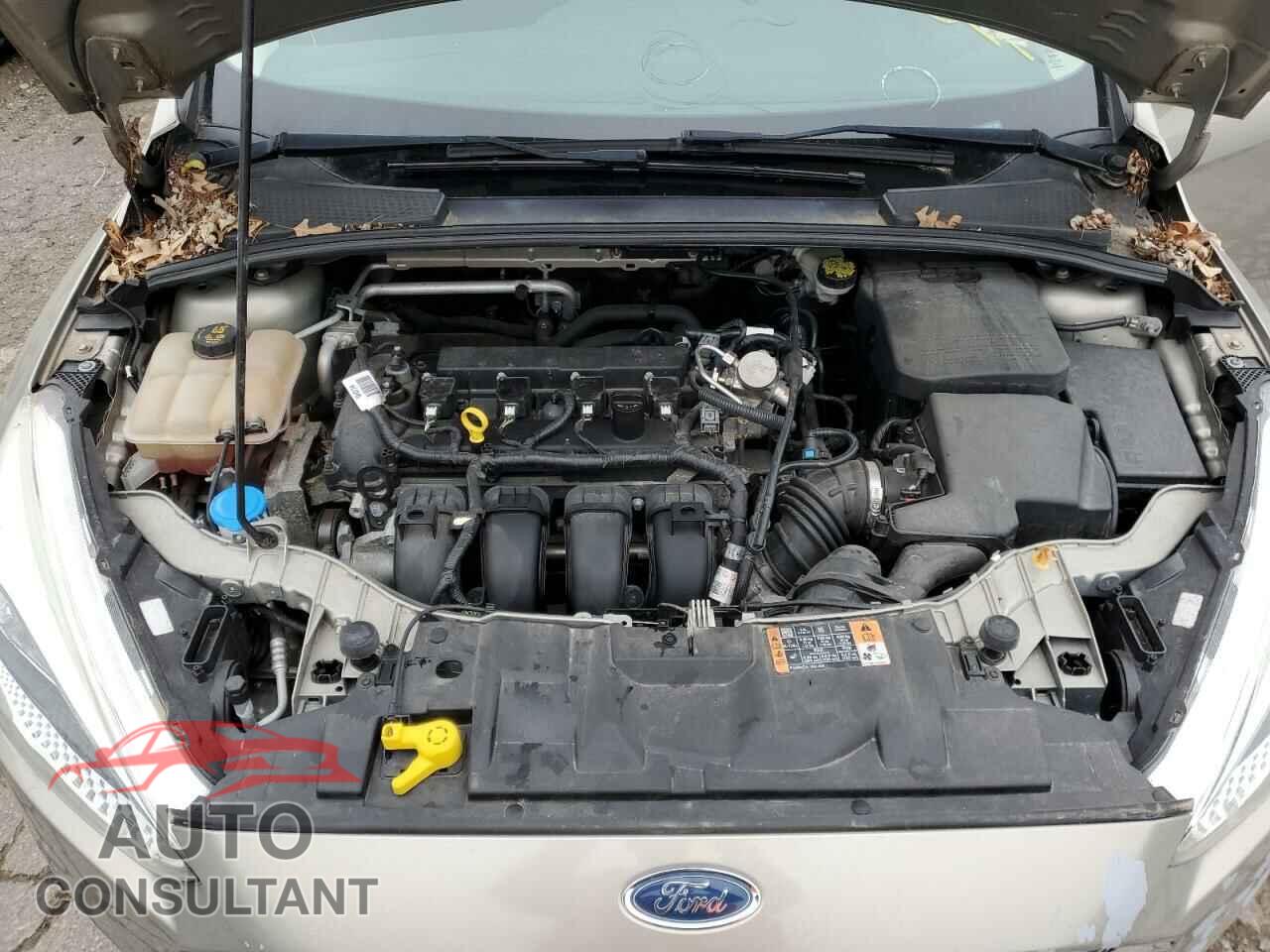FORD FOCUS 2016 - 1FADP3K22GL344845