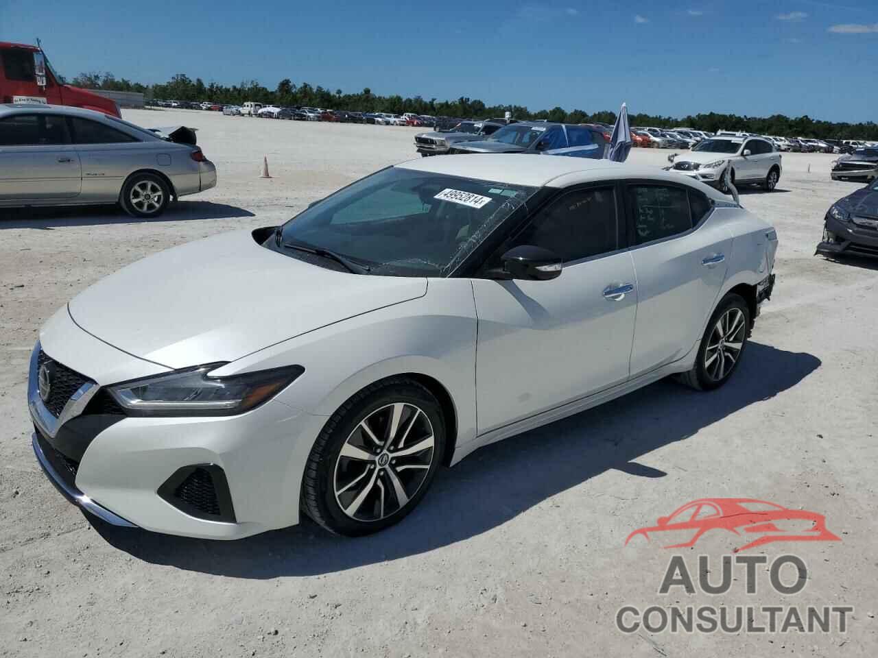 NISSAN MAXIMA 2019 - 1N4AA6AV8KC367542