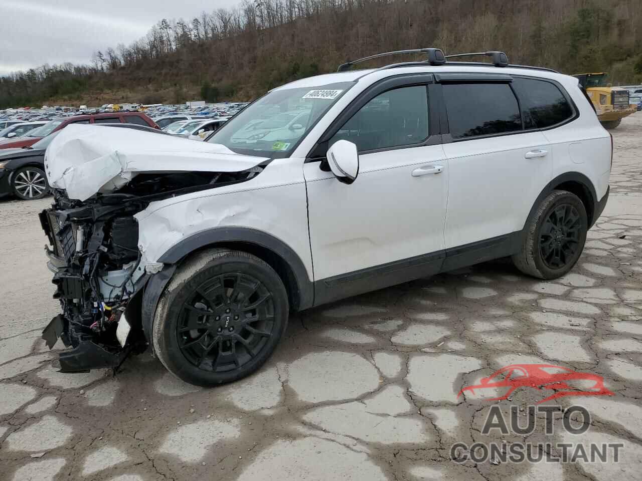 KIA TELLURIDE 2022 - 5XYP5DHC7NG315935