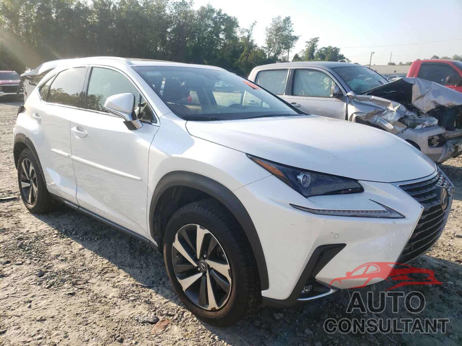 LEXUS NX 2019 - JTJBARBZ9K2211871