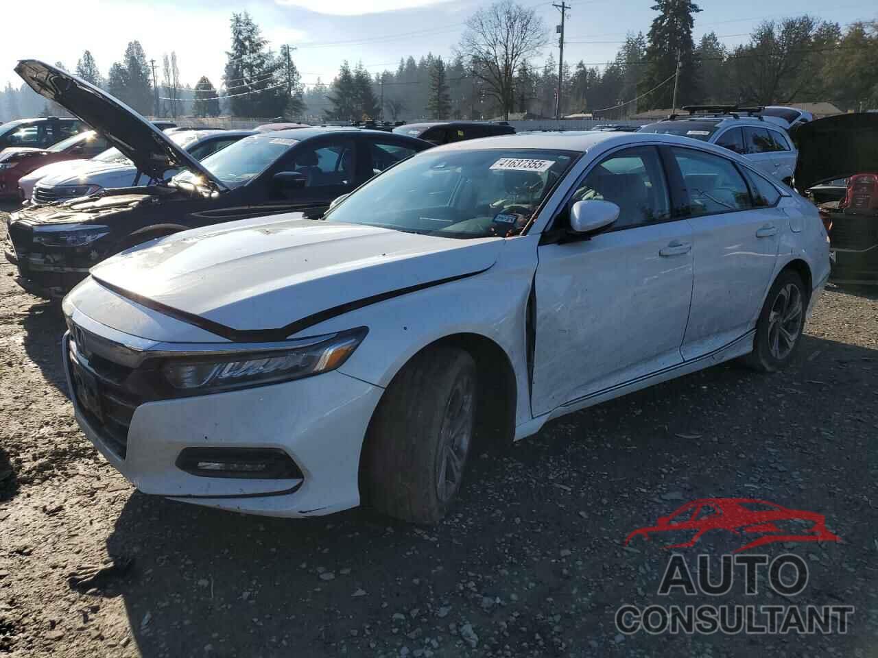 HONDA ACCORD 2019 - 1HGCV1F4XKA084261