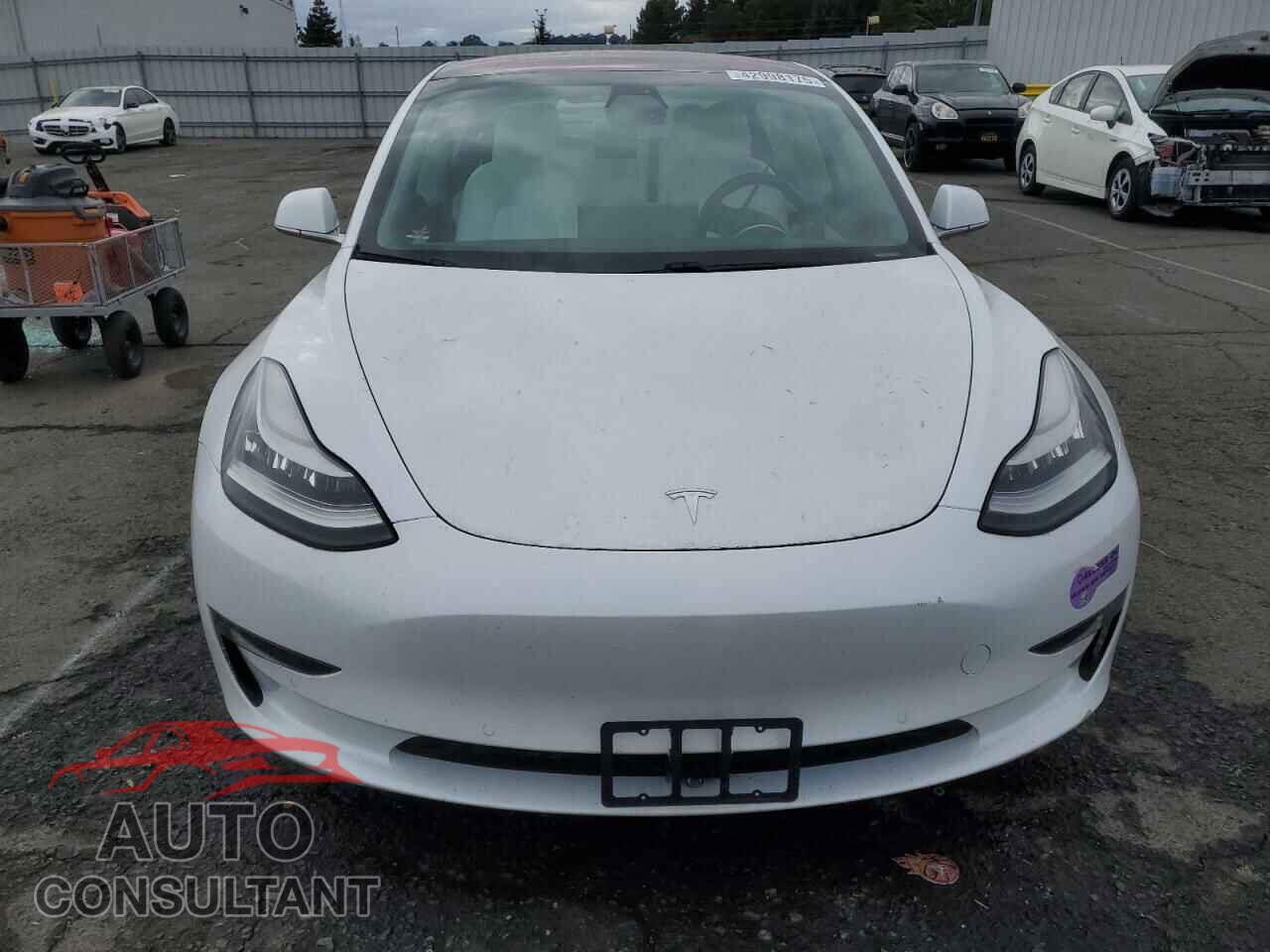 TESLA MODEL 3 2018 - 5YJ3E1EBXJF100172