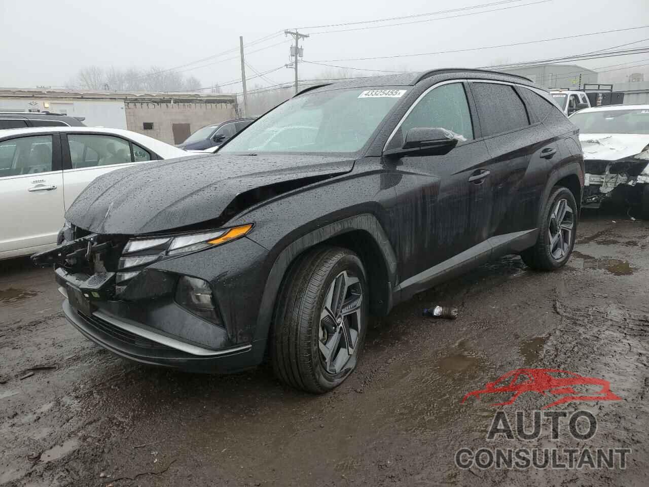 HYUNDAI TUCSON 2023 - KM8JBDA25PU134510
