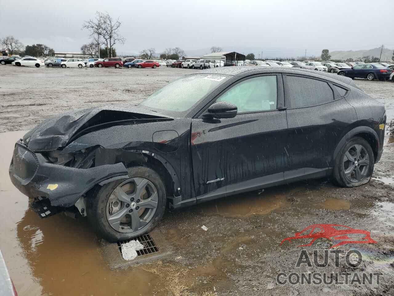 FORD MUSTANG 2021 - 3FMTK1RM7MMA63243