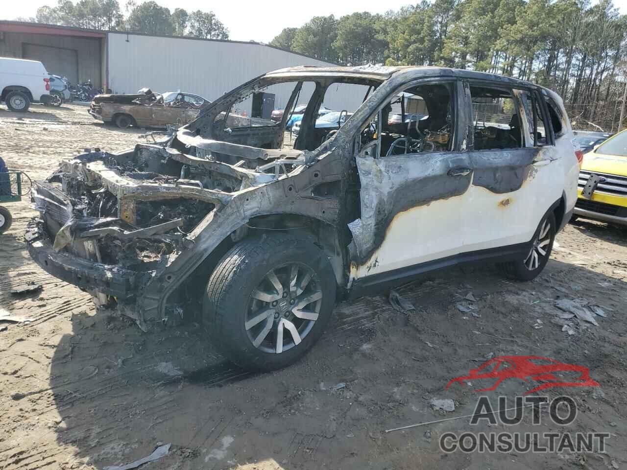 HONDA PILOT 2019 - 5FNYF6H56KB022254