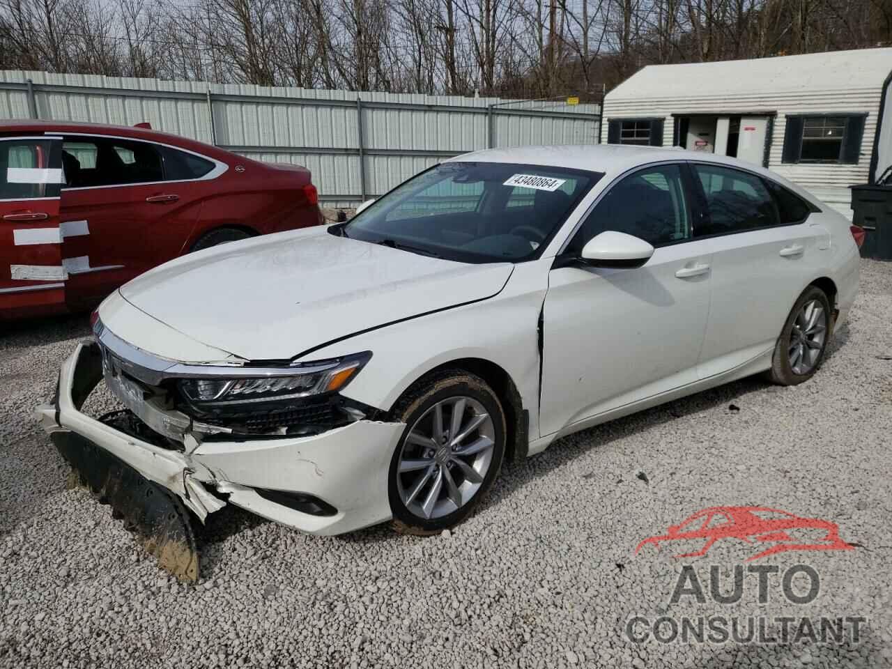 HONDA ACCORD 2021 - 1HGCV1F18MA061506