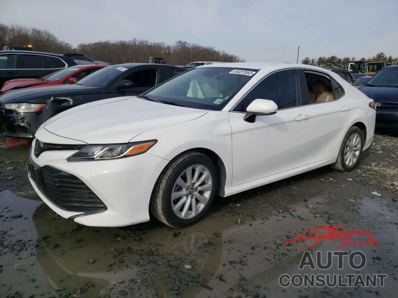 TOYOTA CAMRY 2019 - 4T1B11HK1KU237377