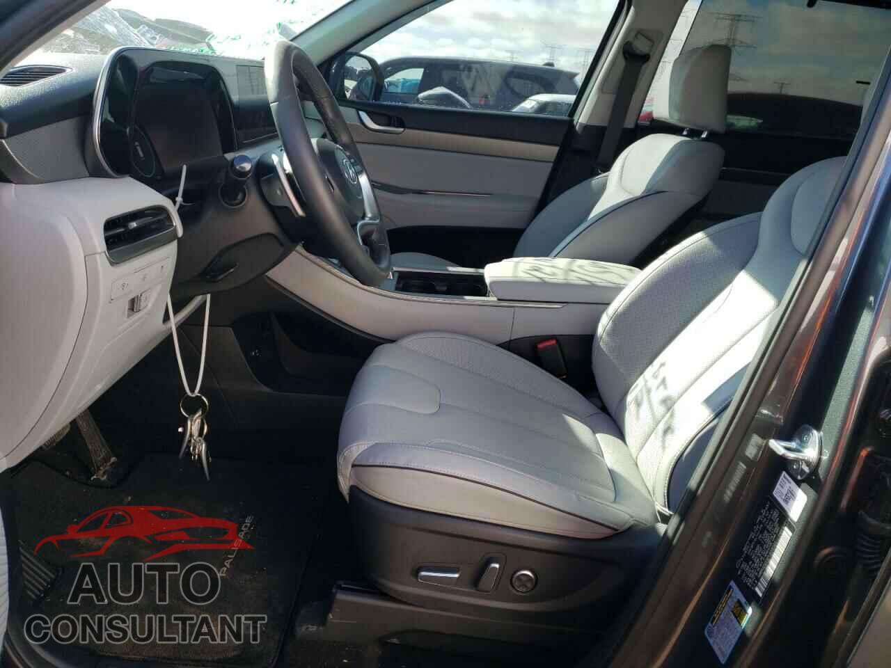 HYUNDAI PALISADE 2023 - KM8R4DGEXPU638565