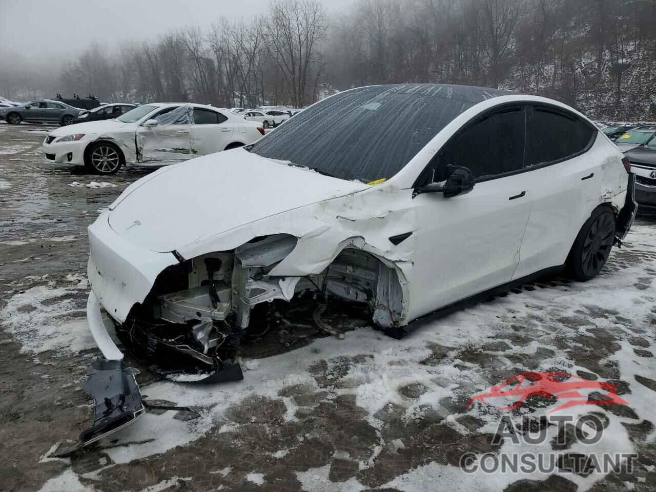 TESLA MODEL Y 2022 - 7SAYGDEF3NF308794