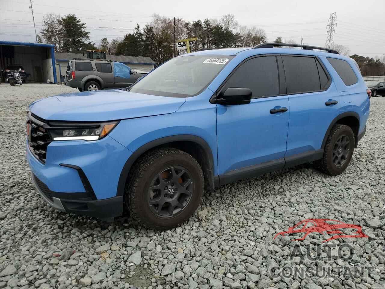 HONDA PILOT 2024 - 5FNYG1H61RB012492