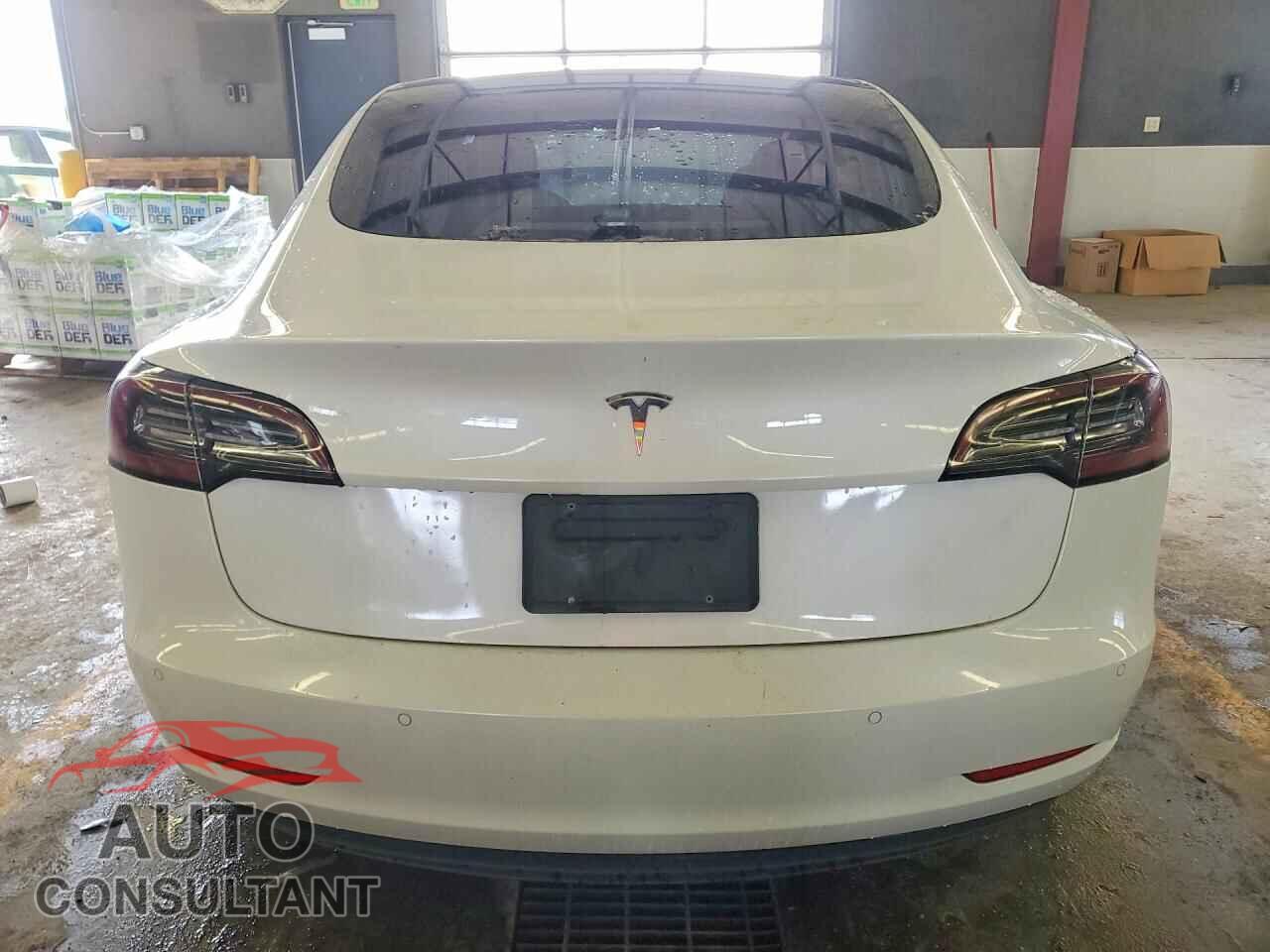 TESLA MODEL 3 2019 - 5YJ3E1EA6KF302757