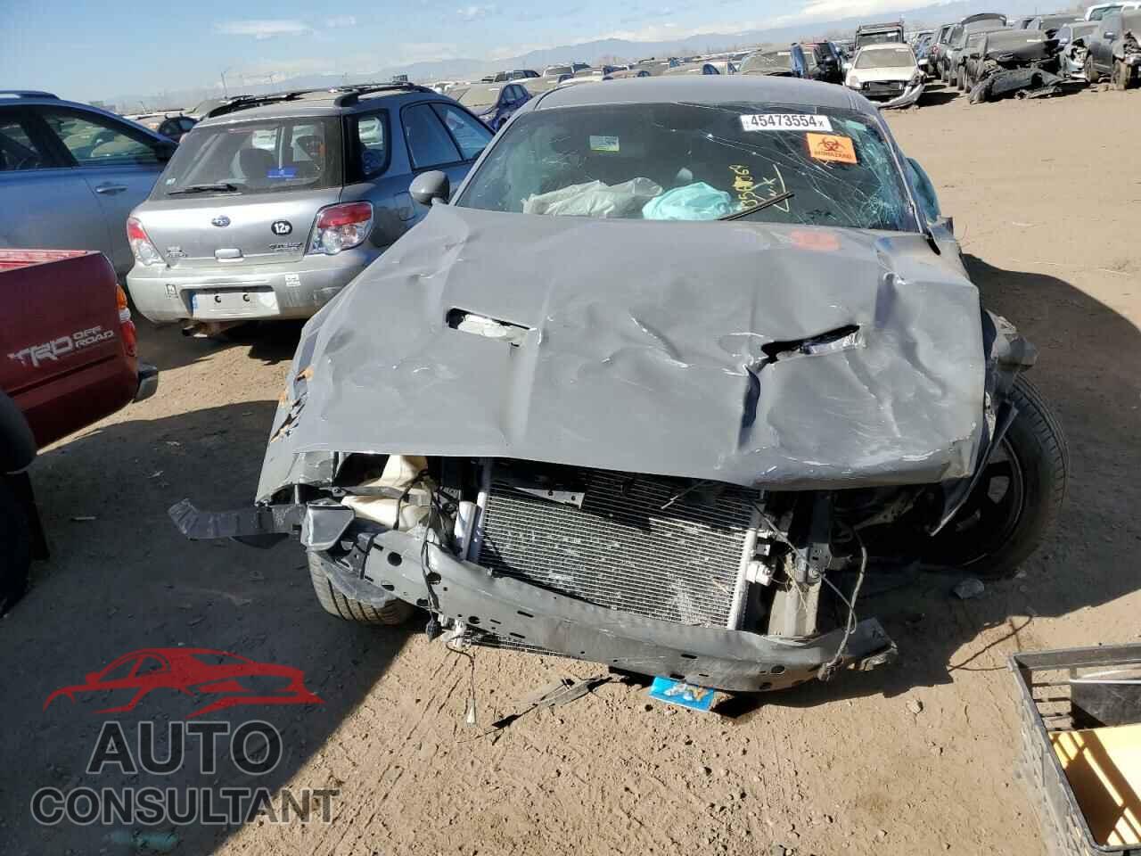 DODGE CHALLENGER 2019 - 2C3CDZAG7KH701252