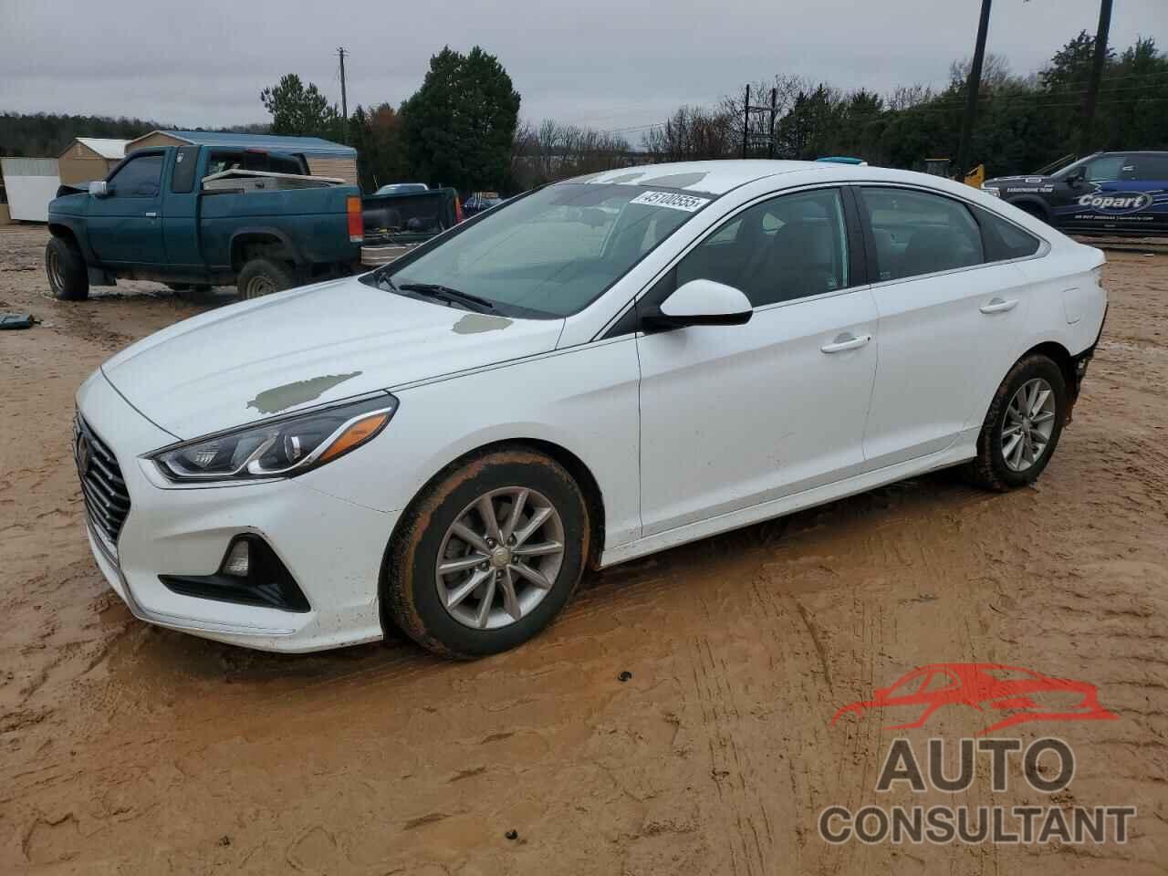 HYUNDAI SONATA 2018 - 5NPE24AF7JH667291