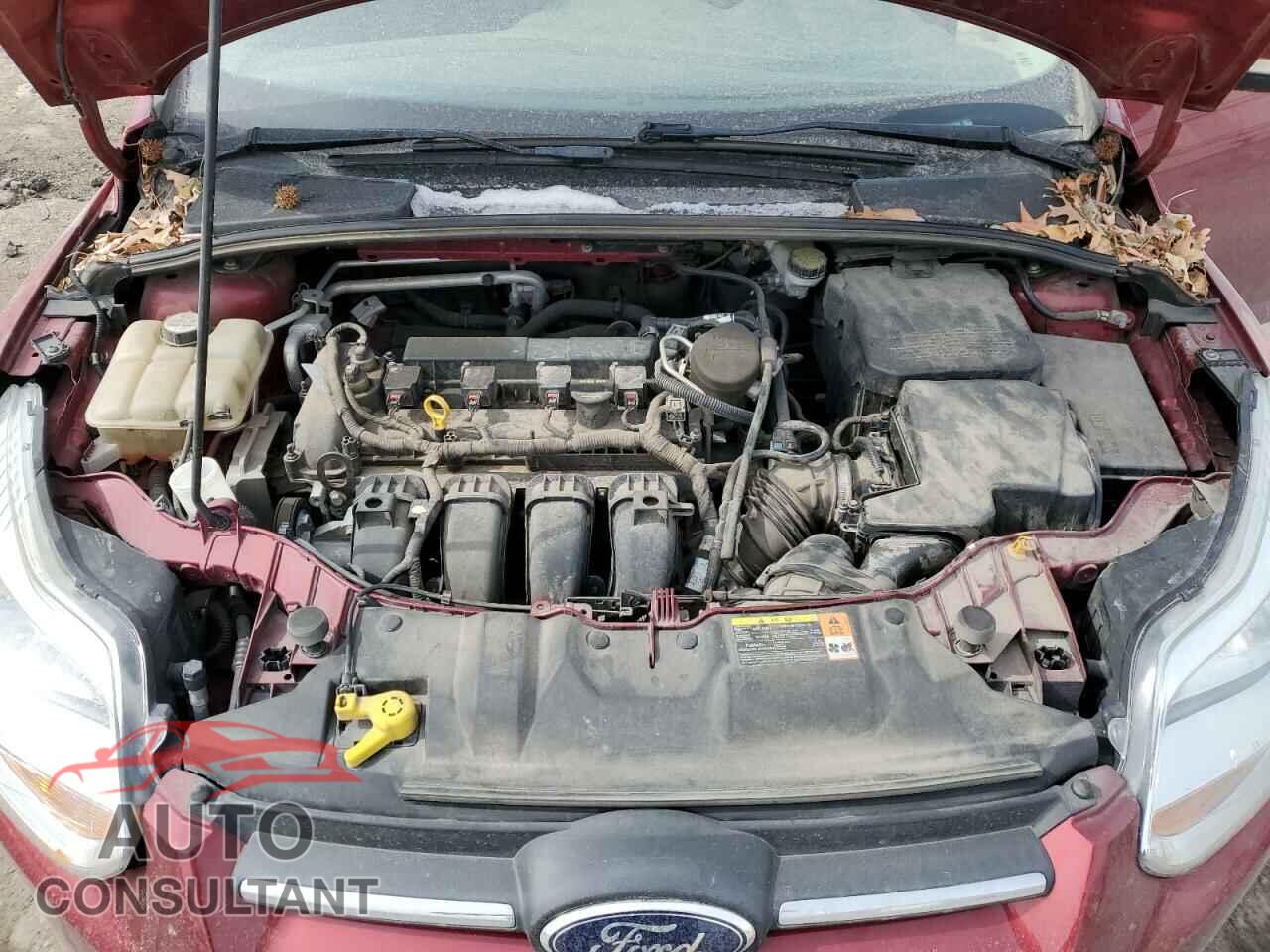 FORD FOCUS 2013 - 1FADP3F21DL163709