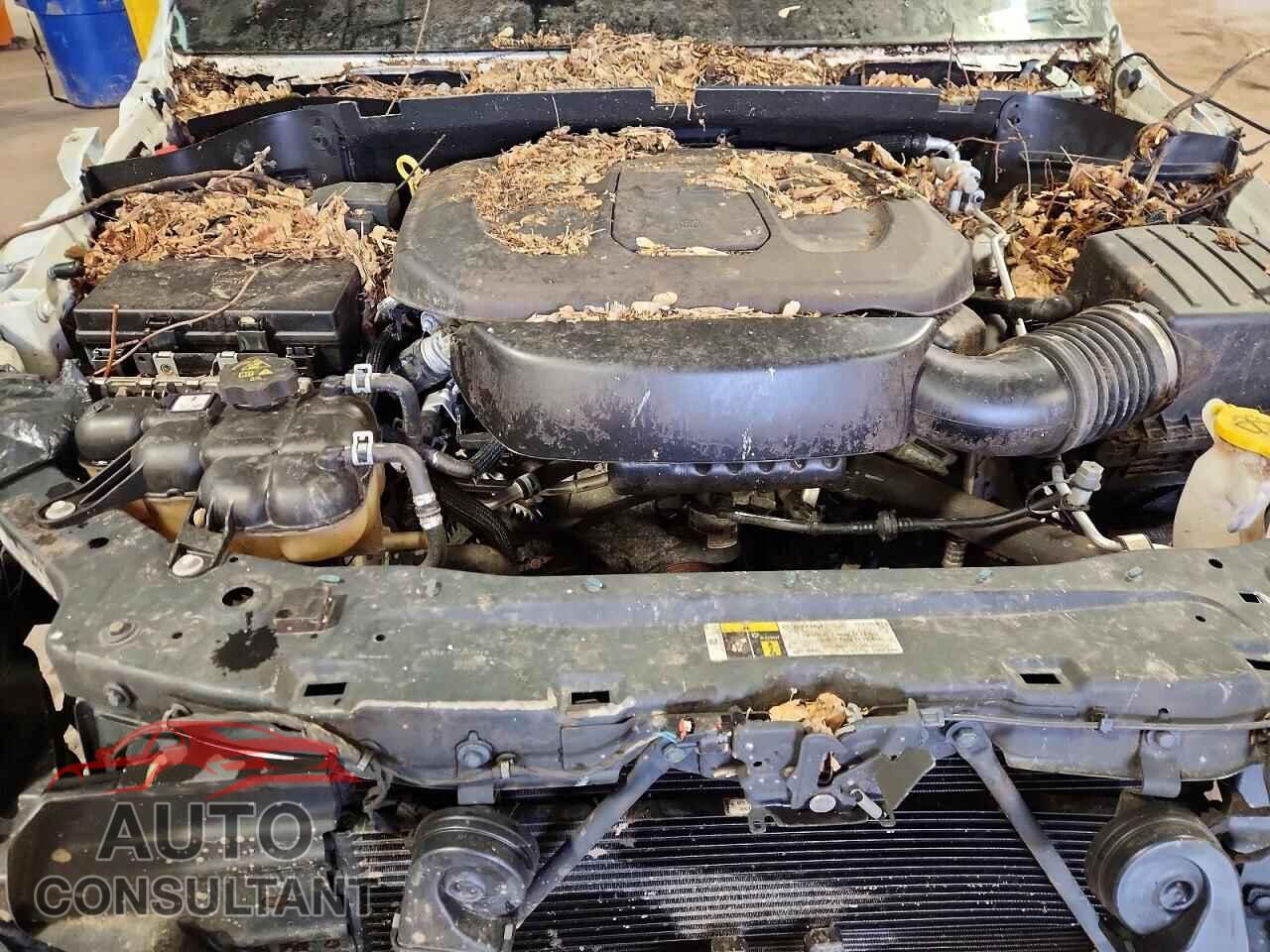 DODGE DURANGO 2020 - 1C4RDJDG7LC223955