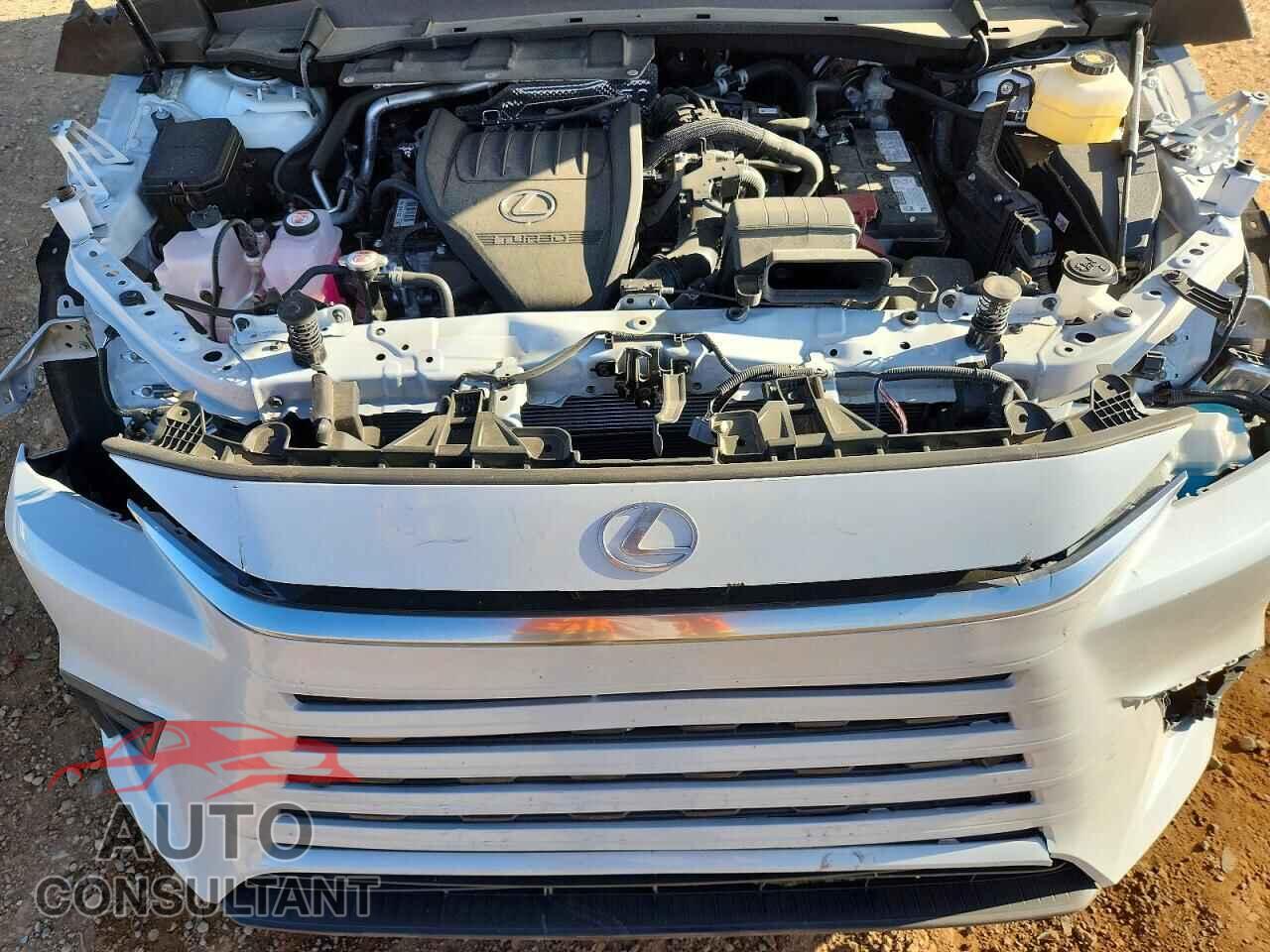 LEXUS UNKNOWN 2025 - 5TDAAAB61SS047790
