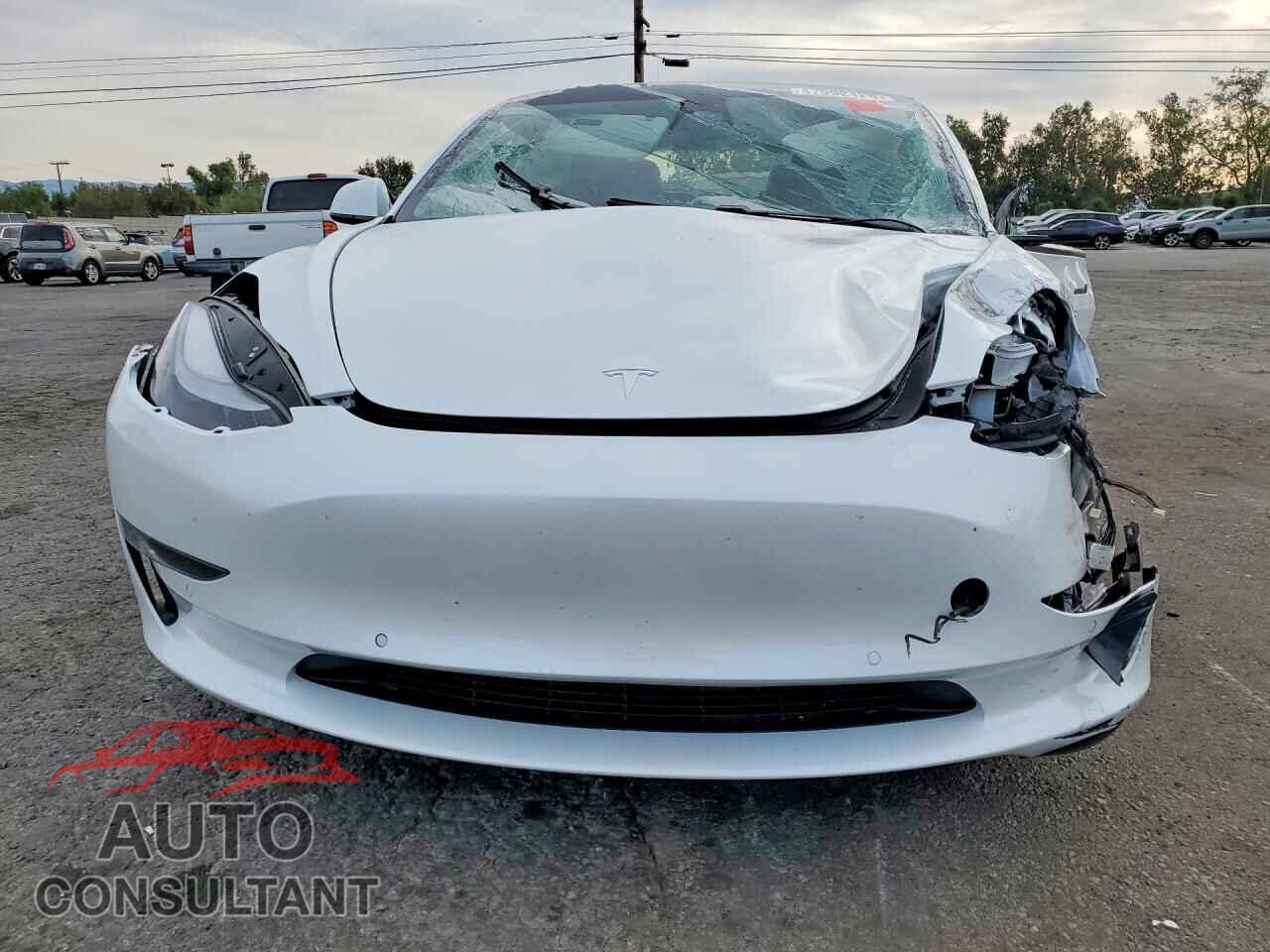 TESLA MODEL 3 2021 - 5YJ3E1EC7MF030191