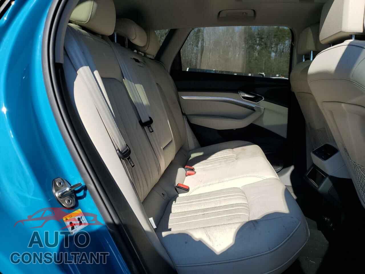 AUDI E-TRON 2019 - WA1LABGE9KB011815