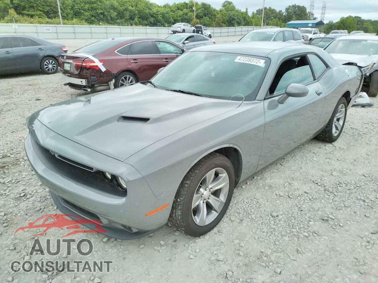 DODGE CHALLENGER 2019 - 2C3CDZAG2KH701644