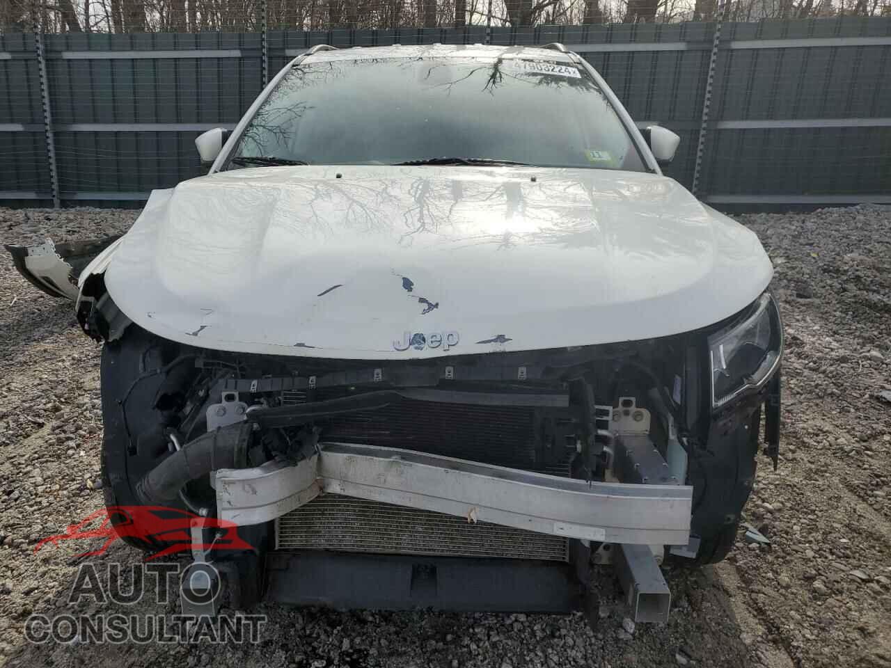 JEEP COMPASS 2020 - 3C4NJDBB2LT252400