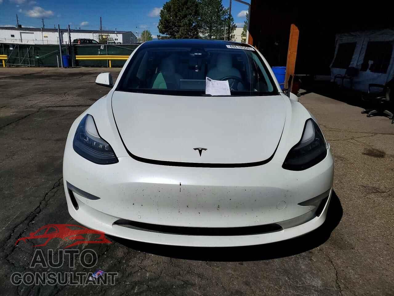 TESLA MODEL 3 2019 - 5YJ3E1EB8KF517727