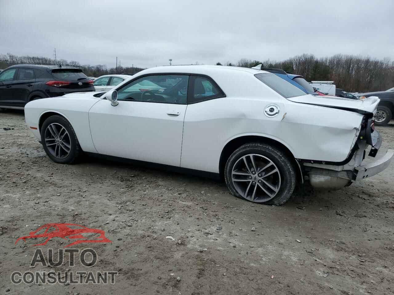 DODGE CHALLENGER 2019 - 2C3CDZGG1KH522275