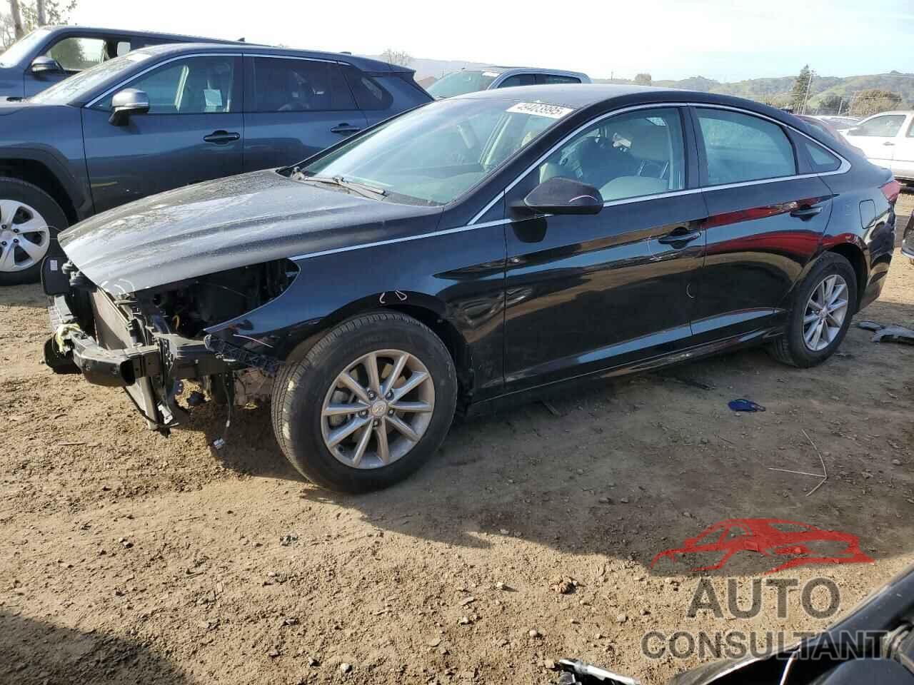 HYUNDAI SONATA 2019 - 5NPE24AF1KH749602