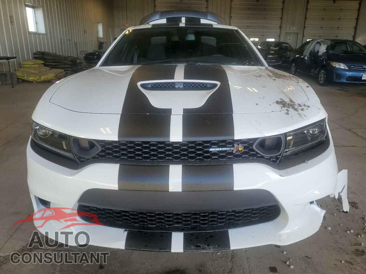 DODGE CHARGER 2023 - 2C3CDXGJ6PH702343