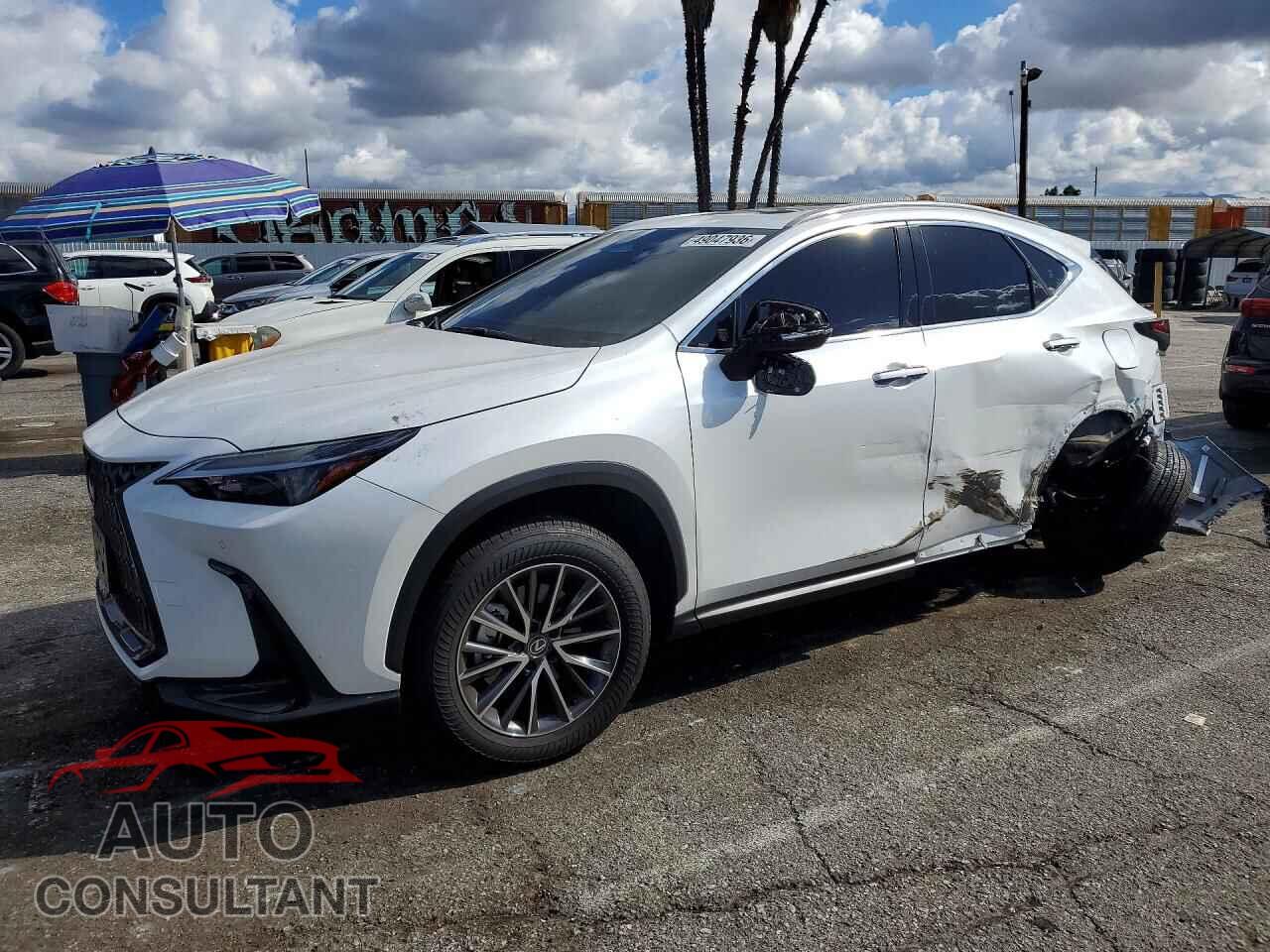 LEXUS UNKNOWN 2025 - JTJGDCAZ2S5025938