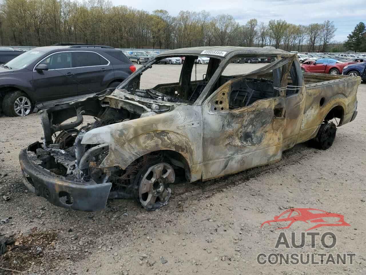 FORD F-150 2009 - 1FTRX12W79KB65653