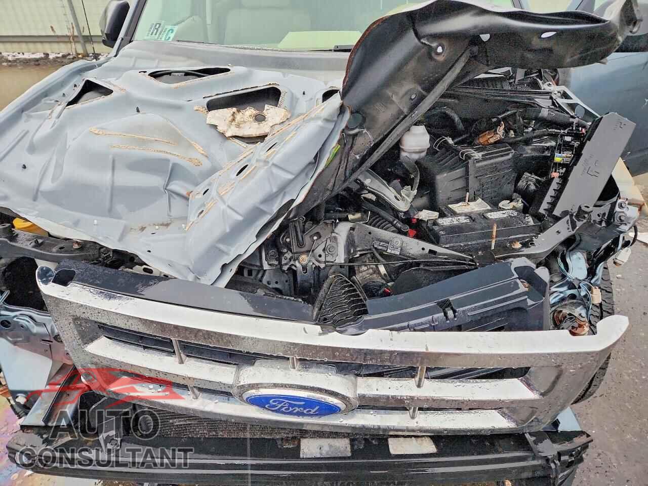 FORD ESCAPE 2011 - 1FMCU0D7XBKB82012