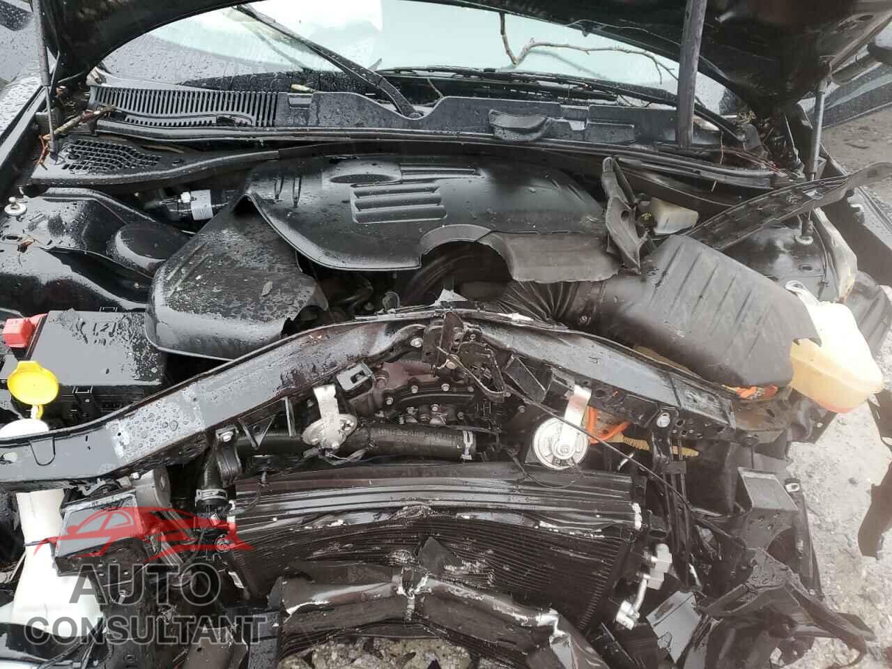 DODGE CHALLENGER 2019 - 2C3CDZAG7KH521446