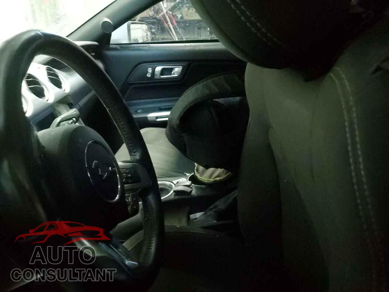 FORD MUSTANG 2019 - 1FA6P8CF6K5162795