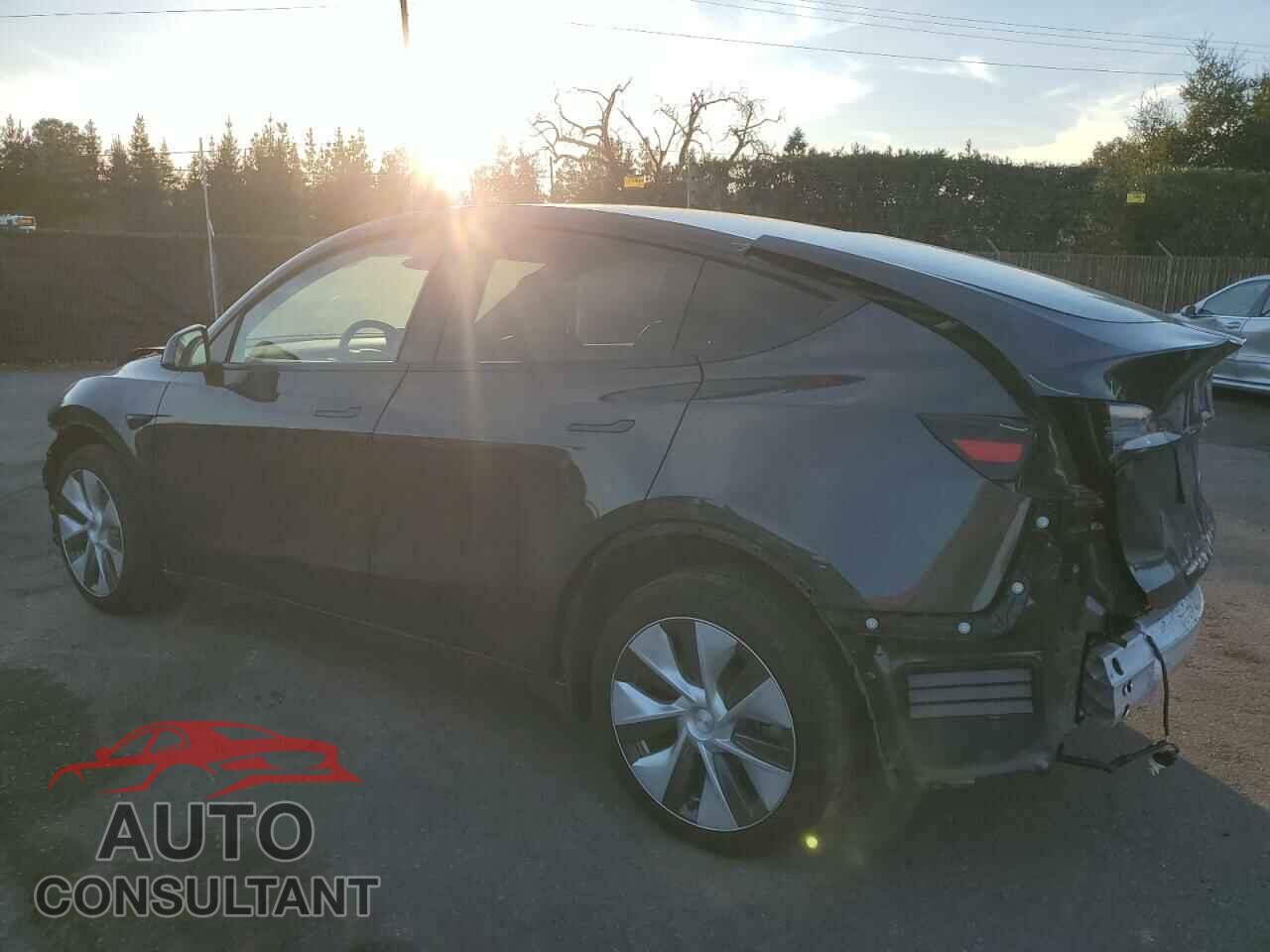 TESLA MODEL Y 2024 - 7SAYGDEE6RF013752