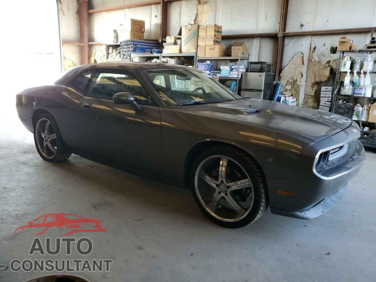DODGE CHALLENGER 2010 - 2B3CJ4DVXAH166855