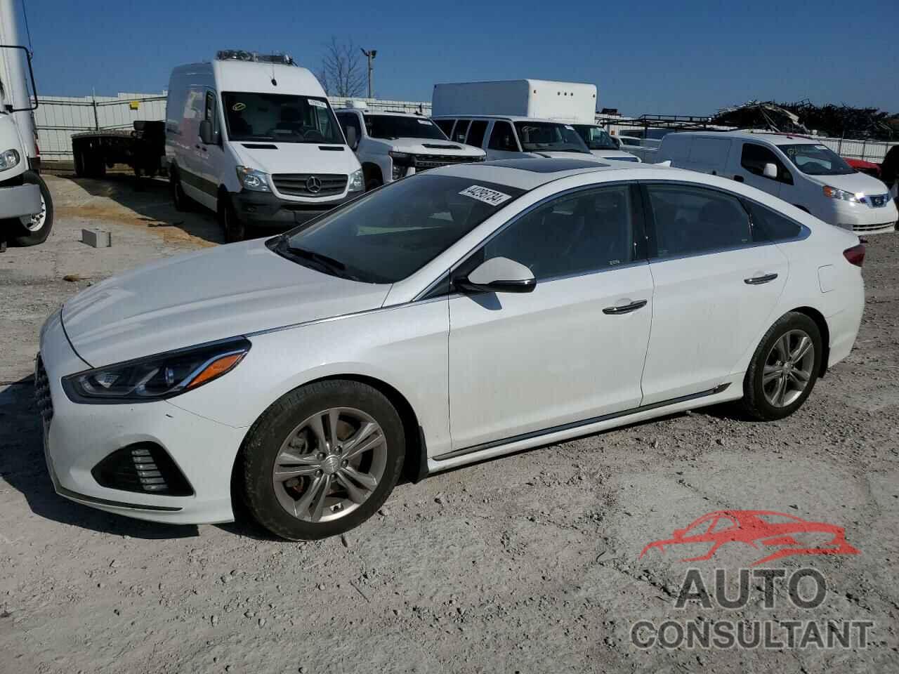 HYUNDAI SONATA 2019 - 5NPE34AF1KH773105