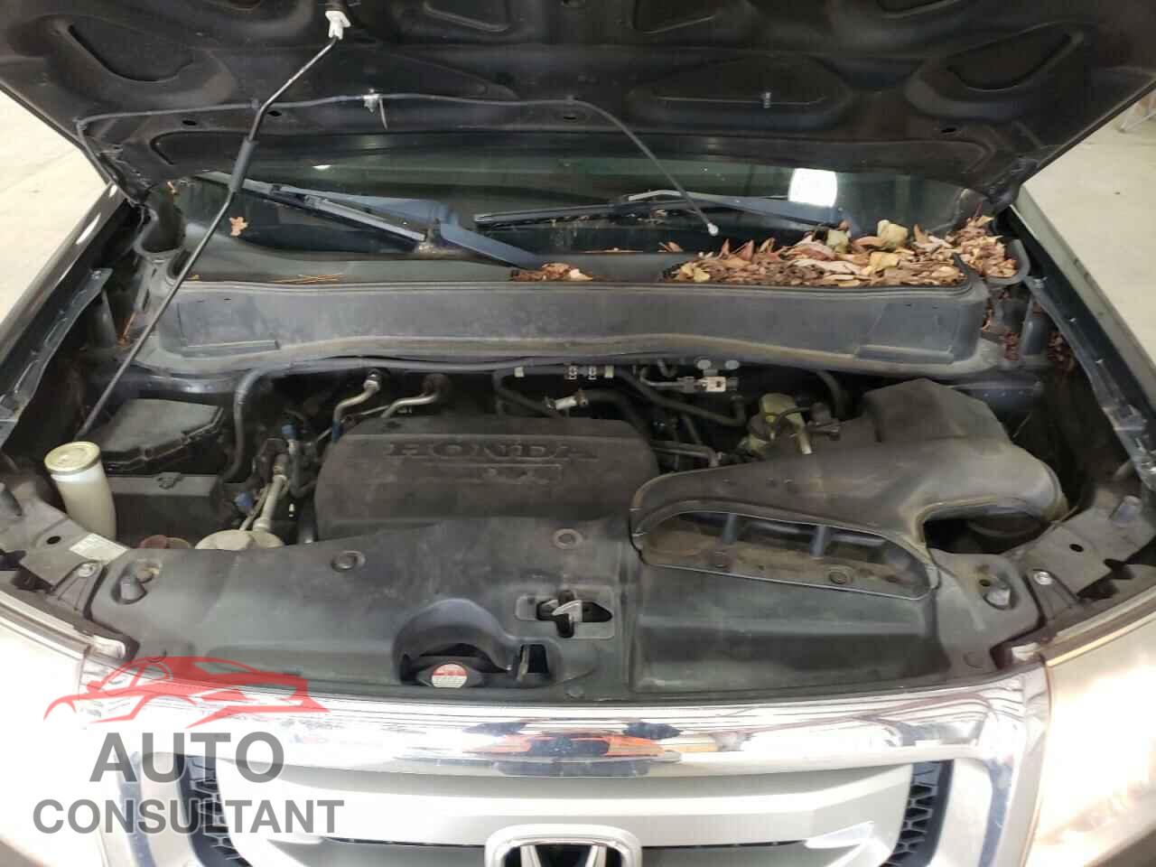 HONDA PILOT 2009 - 5FNYF482X9B043306