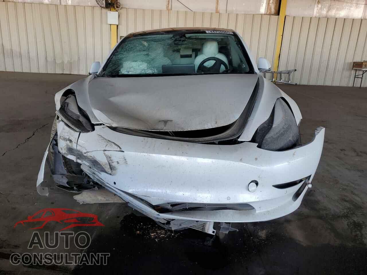 TESLA MODEL 3 2019 - 5YJ3E1EB2KF421849