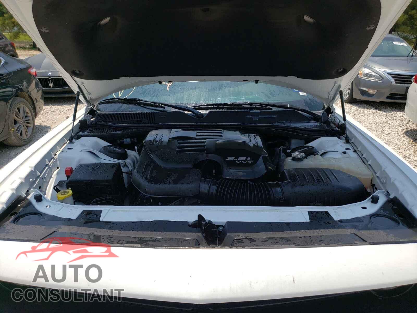 DODGE CHALLENGER 2019 - 2C3CDZAG5KH735061