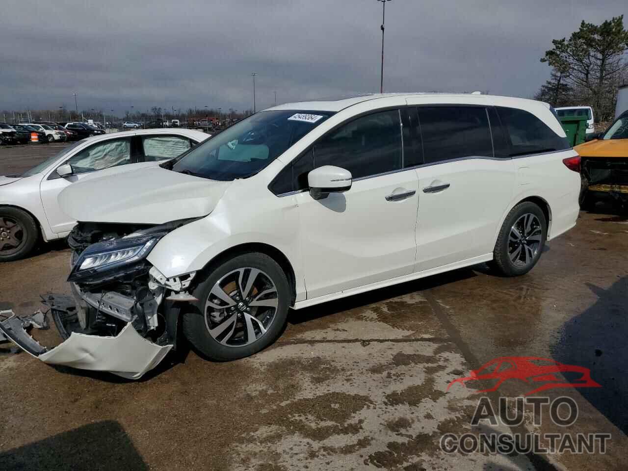 HONDA ODYSSEY 2019 - 5FNRL6H91KB056022