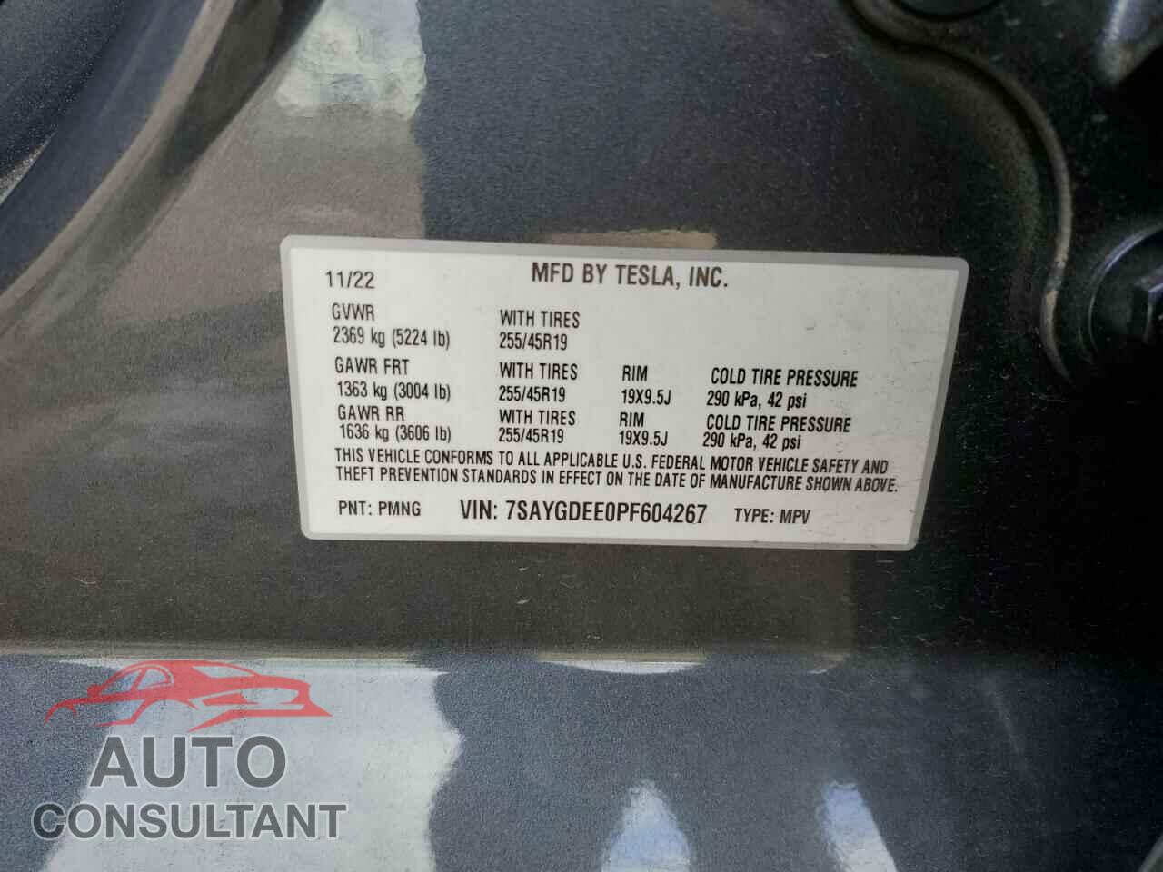TESLA MODEL Y 2023 - 7SAYGDEE0PF604267