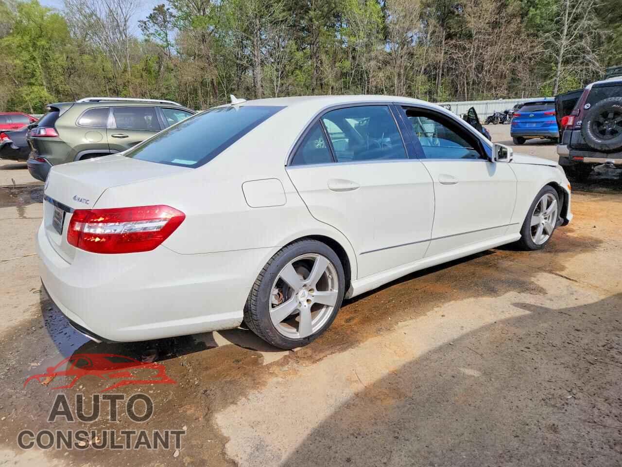 MERCEDES-BENZ E-CLASS 2010 - WDDHF8HB9AA129751