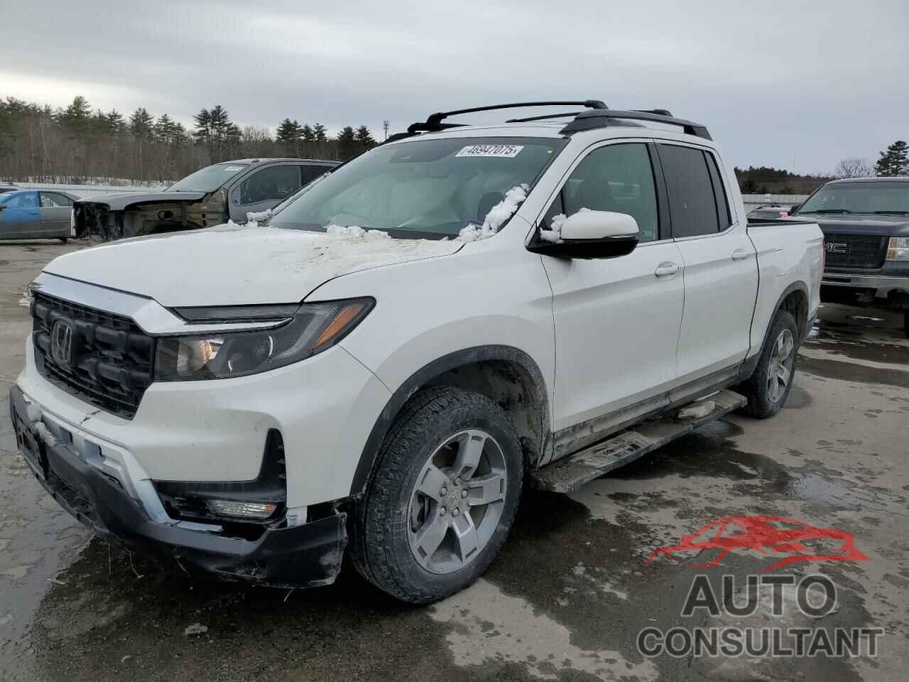 HONDA RIDGELINE 2024 - 5FPYK3F53RB014823
