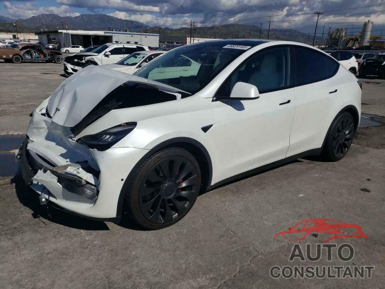 TESLA MODEL Y 2021 - 5YJYGDEF8MF093019