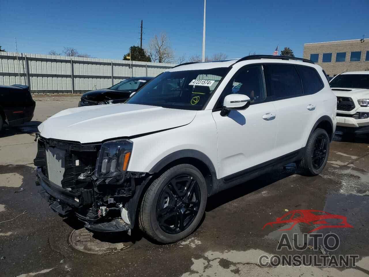 KIA TELLURIDE 2024 - 5XYP5DGC4RG418771