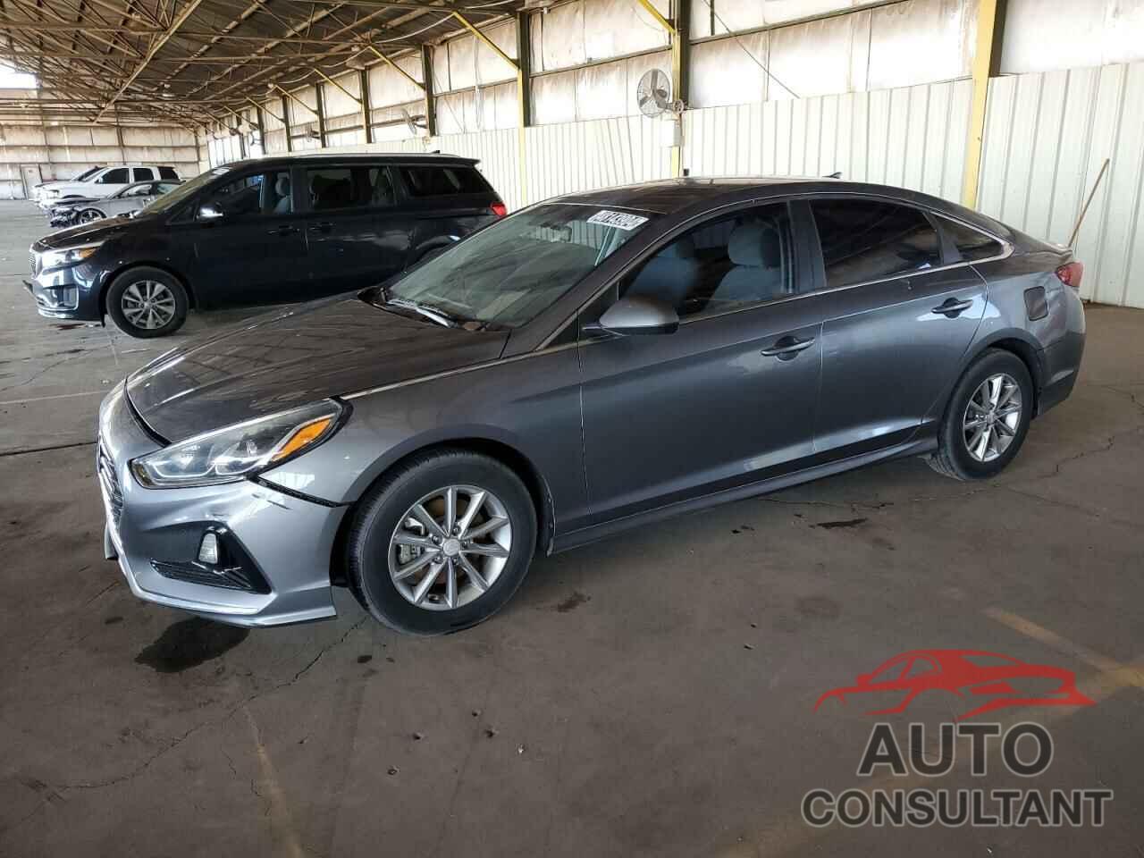 HYUNDAI SONATA 2019 - 5NPE24AF5KH739011