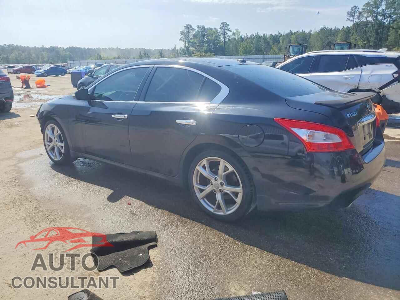 NISSAN MAXIMA 2011 - 1N4AA5AP7BC832436