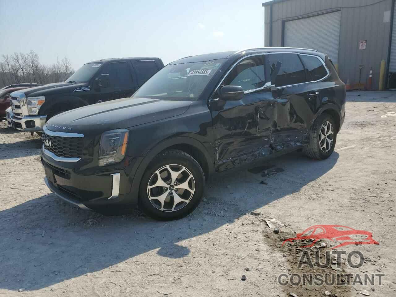 KIA TELLURIDE 2022 - 5XYP3DHC3NG211268