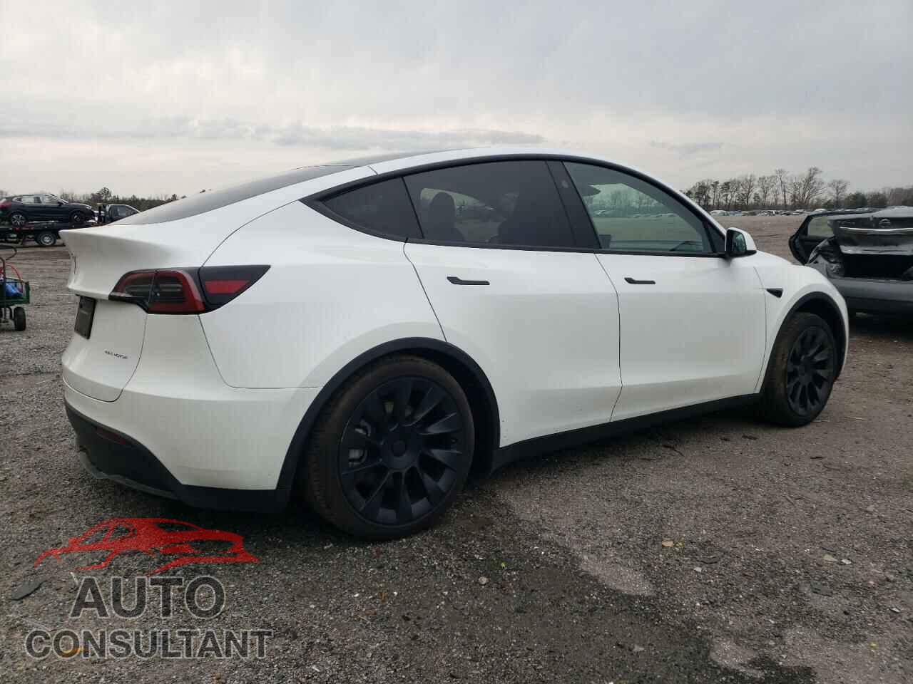 TESLA MODEL Y 2023 - 7SAYGAEE2PF839994